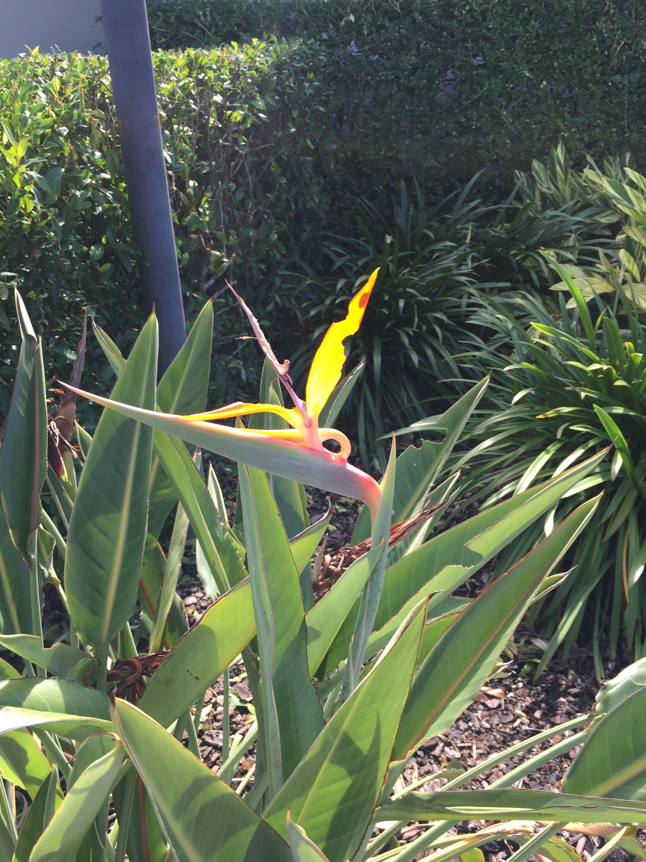 Clay Flower Pots Balcony Decoration