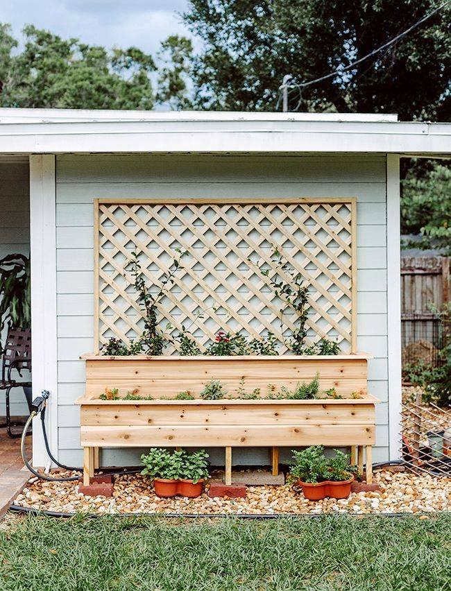 A Tiered Ladder Garden