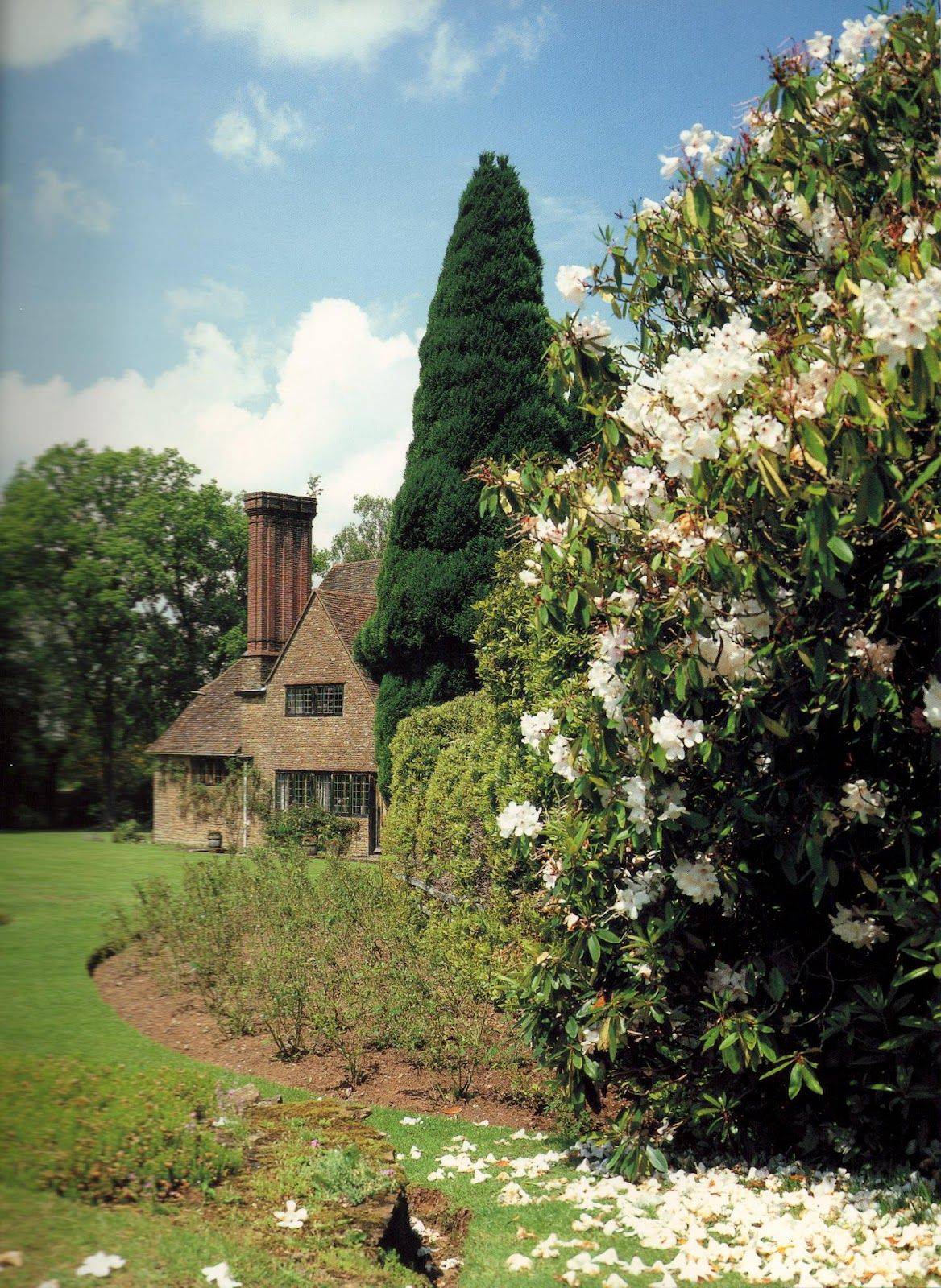 A Real Gardeners Garden