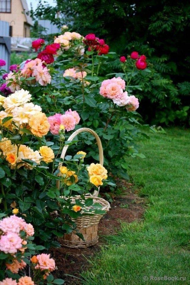 Lovely Small Flower Gardens