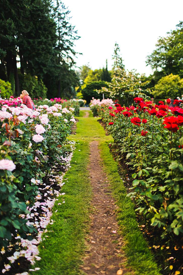 Portland Rose Test Garden March Creative Wedding Ideas
