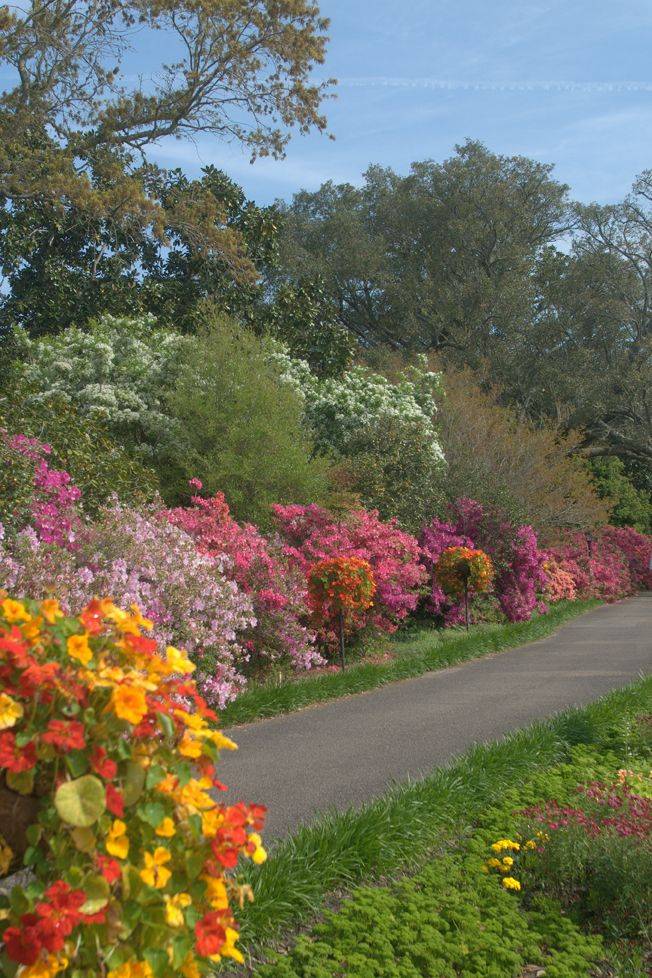 Beautiful Bellingrath Outdoor Golf Courses Garden