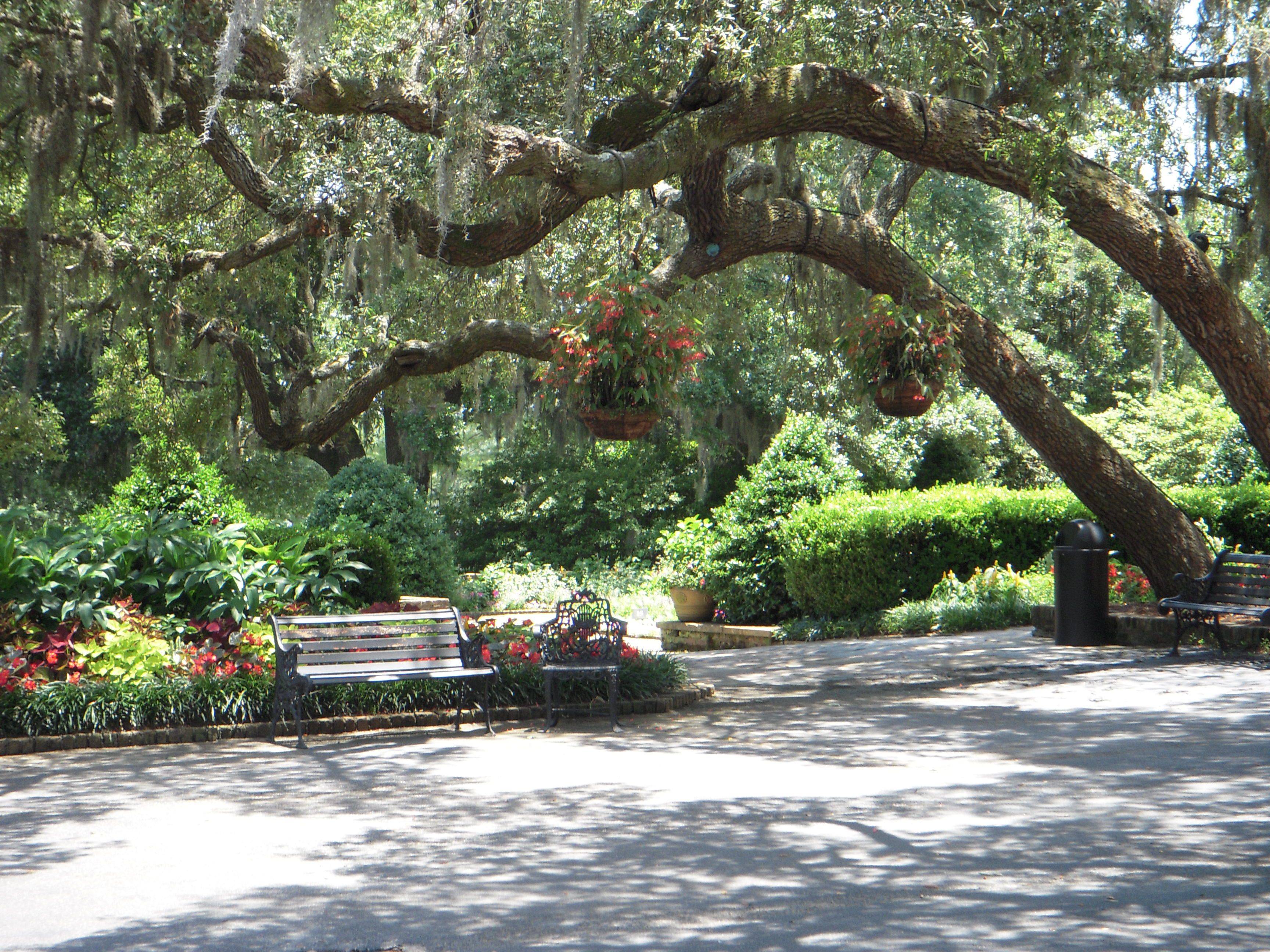 Bellingrath Gardens Patio