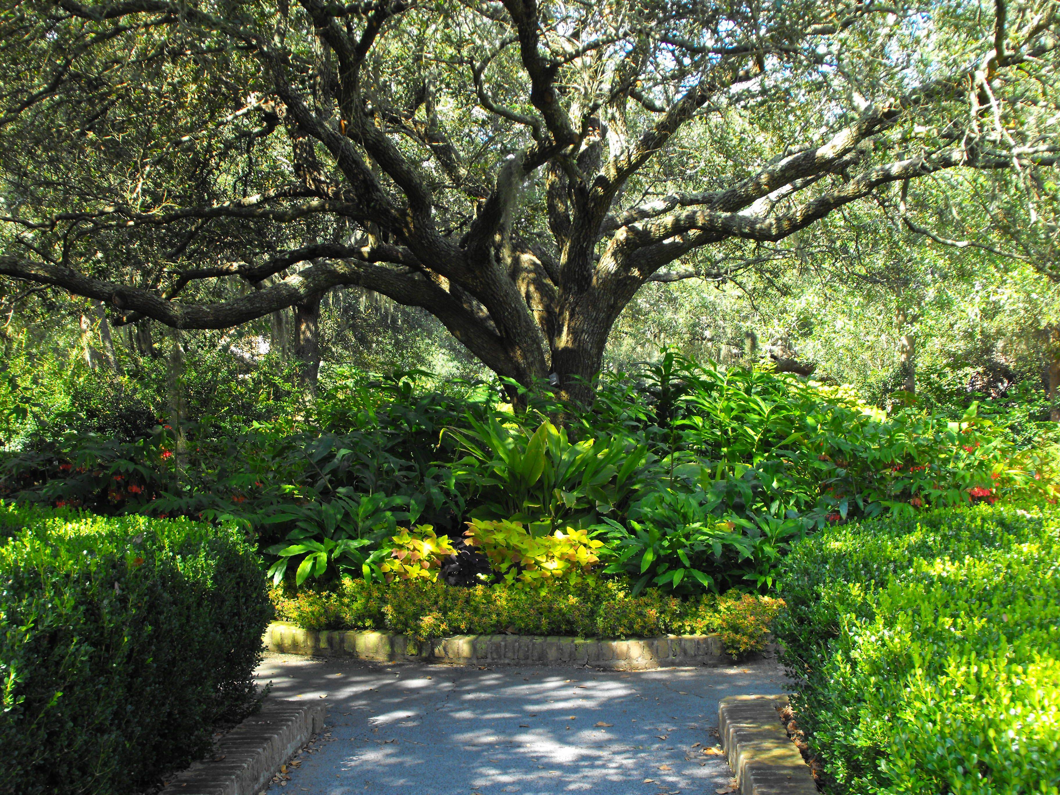 Bellingrath Gardens