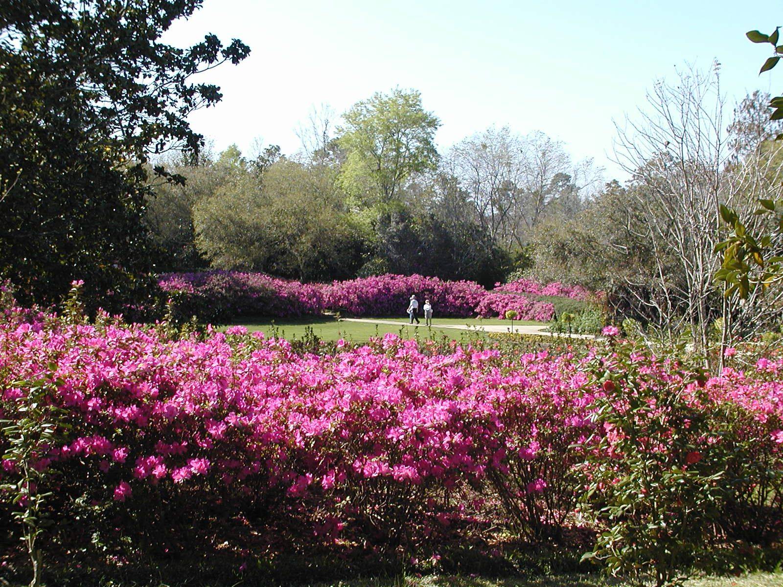 The Great Lawn Bellingrath Gardens Home American Garden