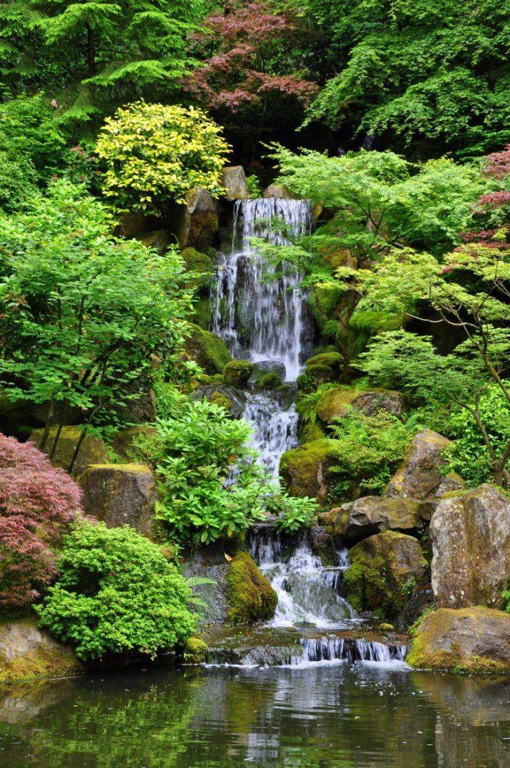 Stunning Japanese Garden Ideas Plants You Will Love Portland