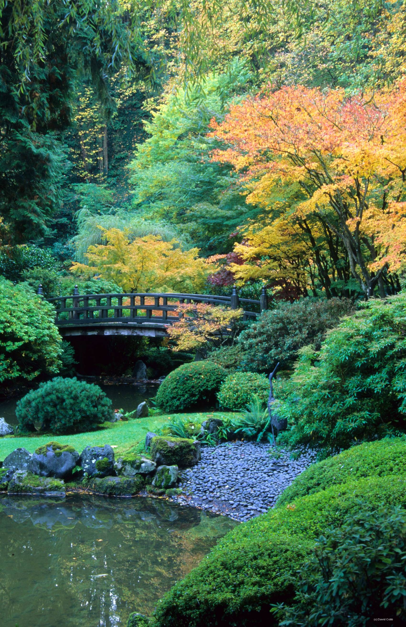 Stunning Japanese Garden Ideas Plants You Will Love Portland