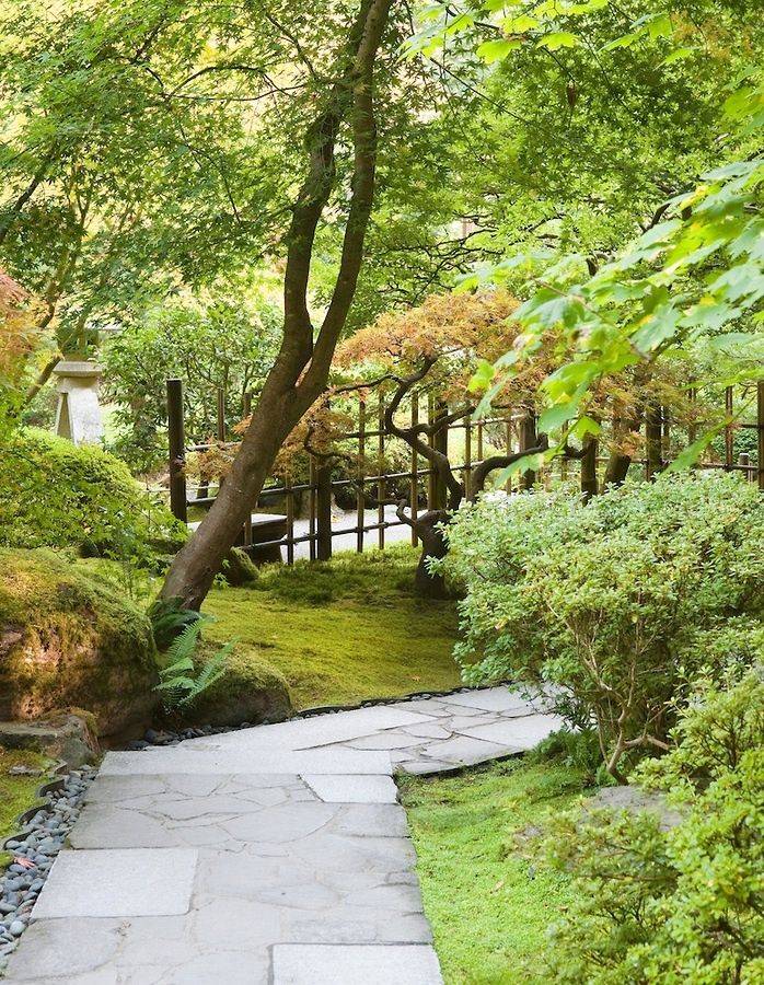Garden Japanese Garden