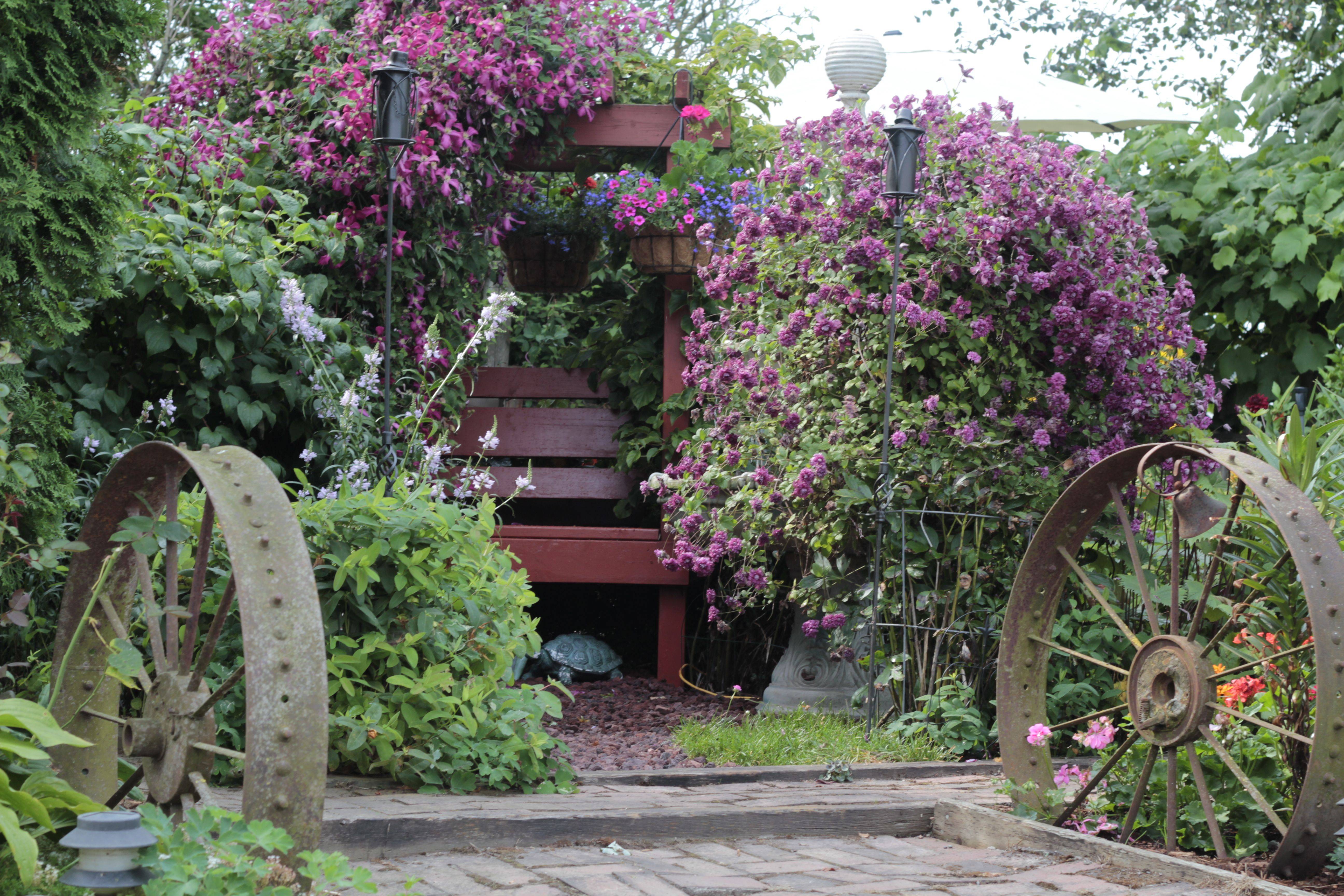 Incredible Small Garden Pictures