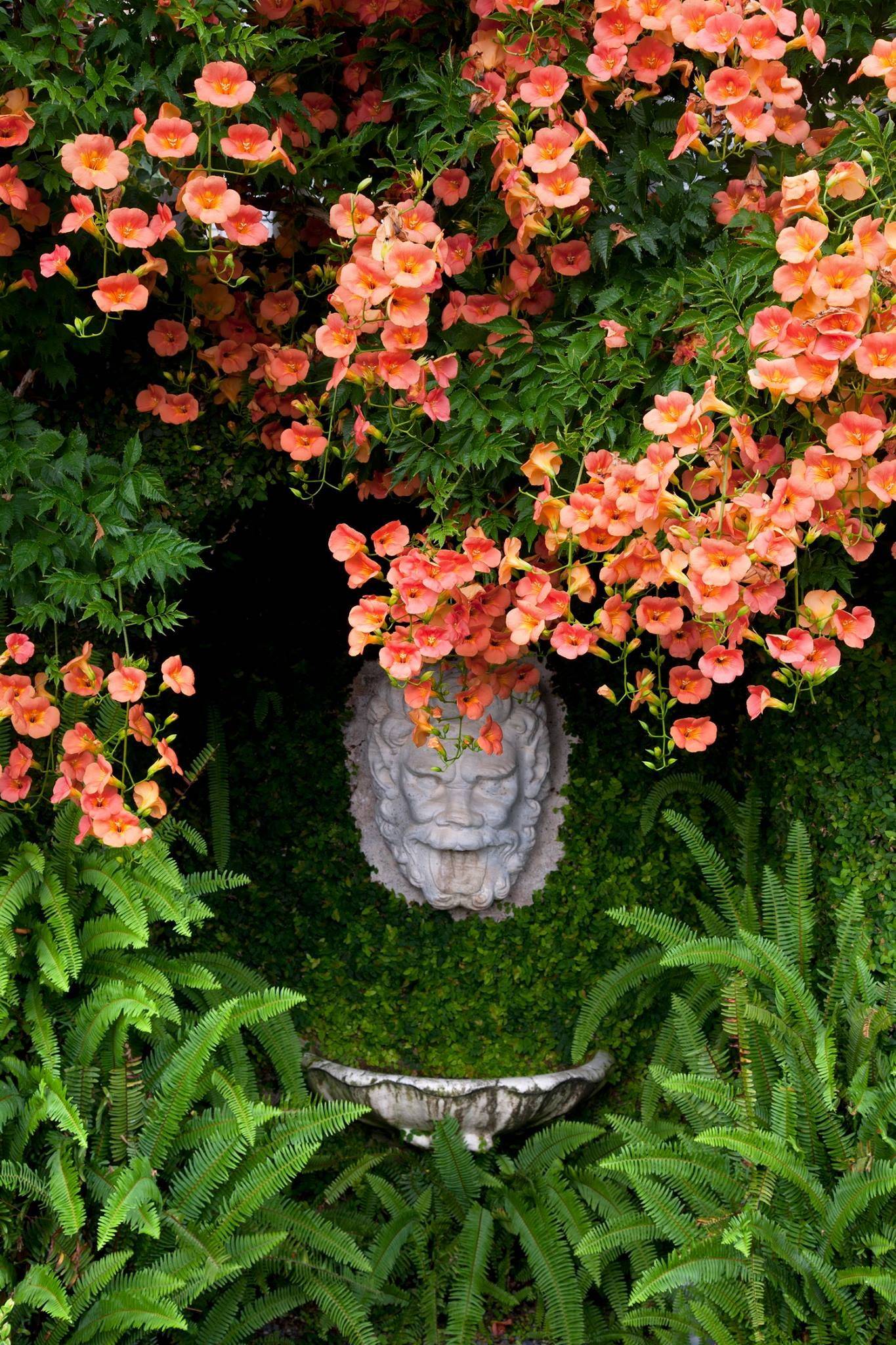 Your Garden Garden Lovers Club