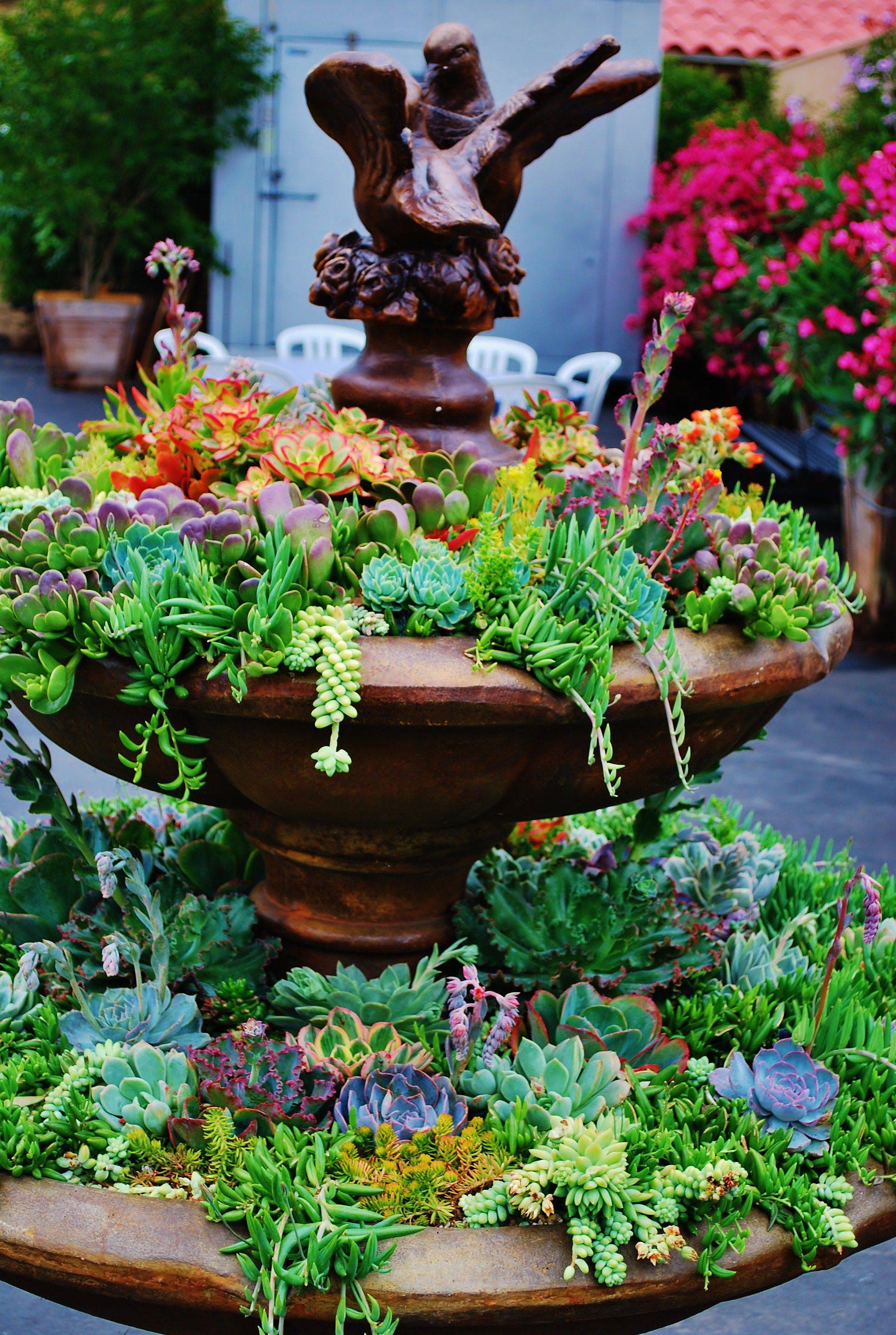 The Spring Front Yard