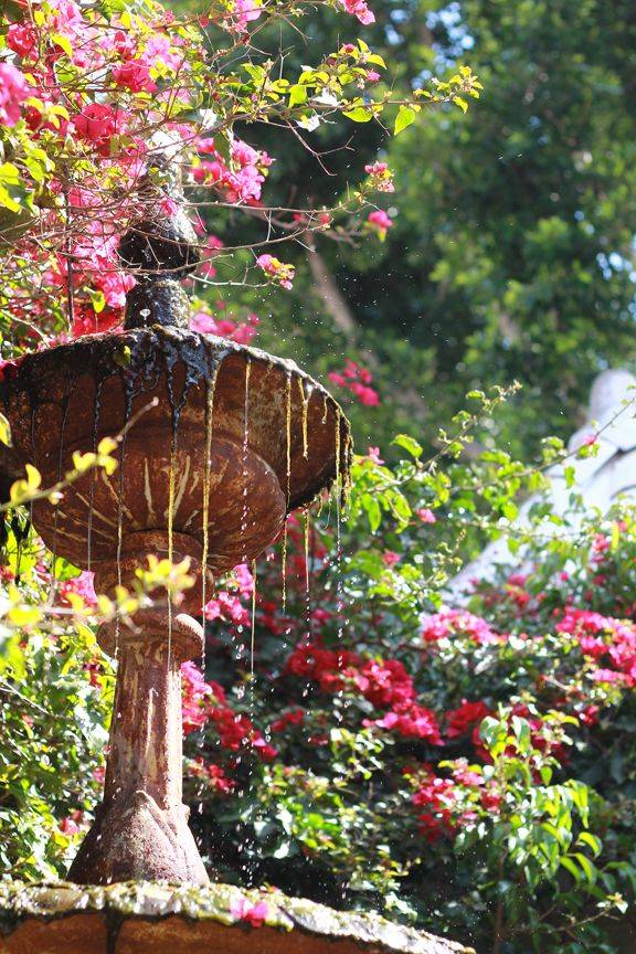 The Water Fountain Spring Mediterranean Garden