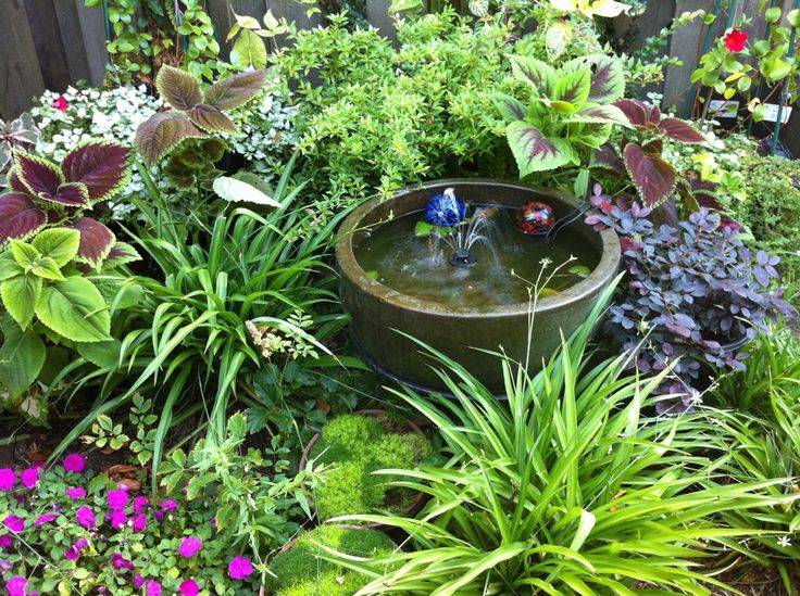 Beautiful Outdoor Water Garden Small Backyard Ponds