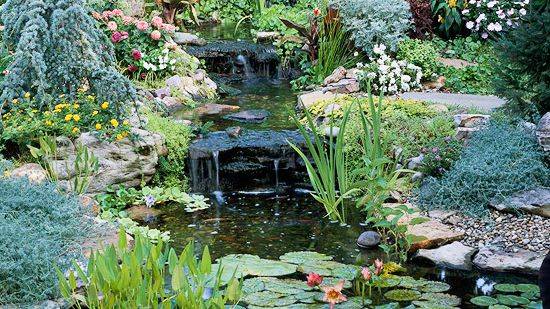 Feng Shui Landscaping Front Yard