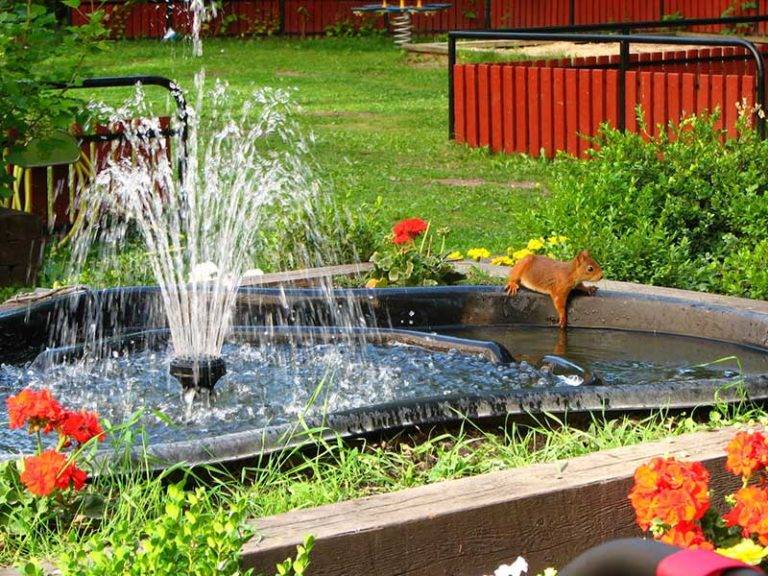 Search Viewer Small Water Gardens Ponds Backyard Water Features In