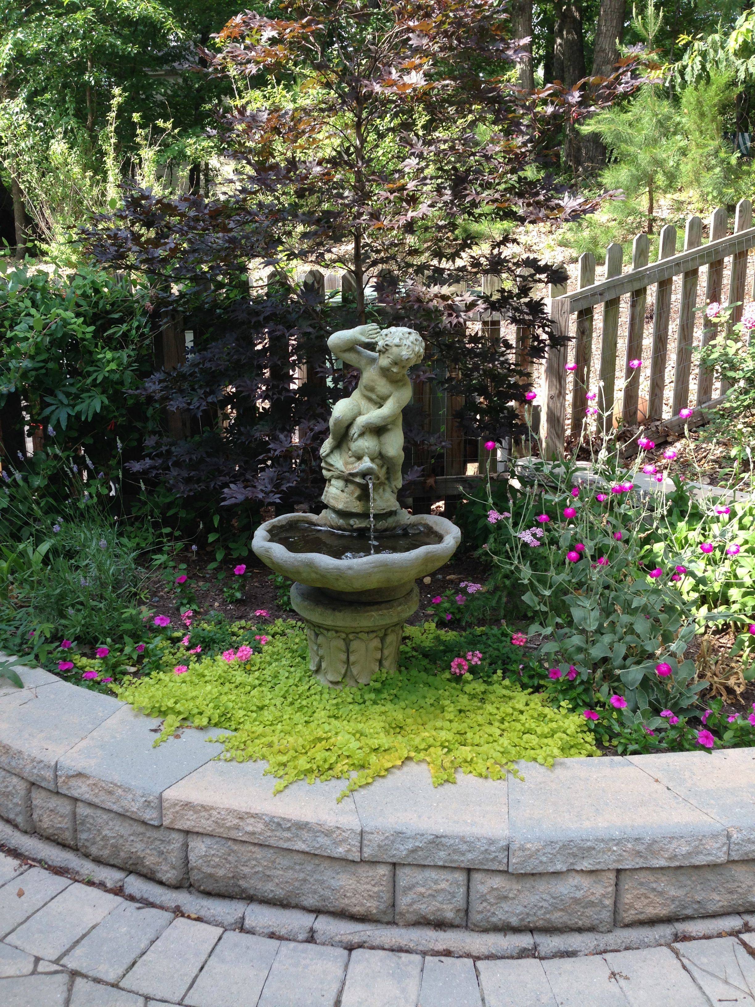 Garden Pond Design