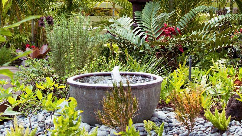 Water Garden Landscaping Ideas