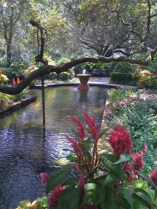 Beautiful Flower Gardens Waterfalls Modern House Designs