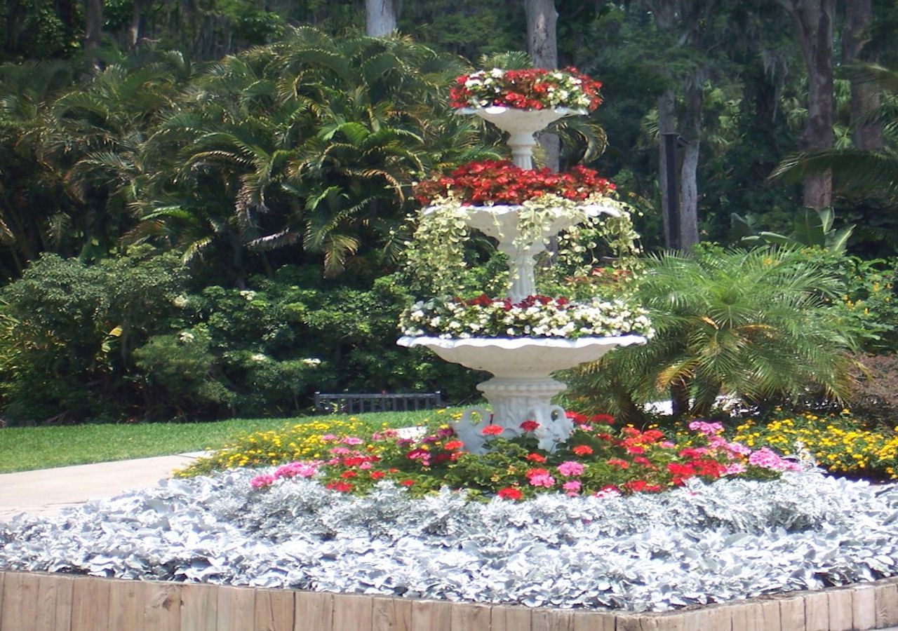 Flower Fountain Plants
