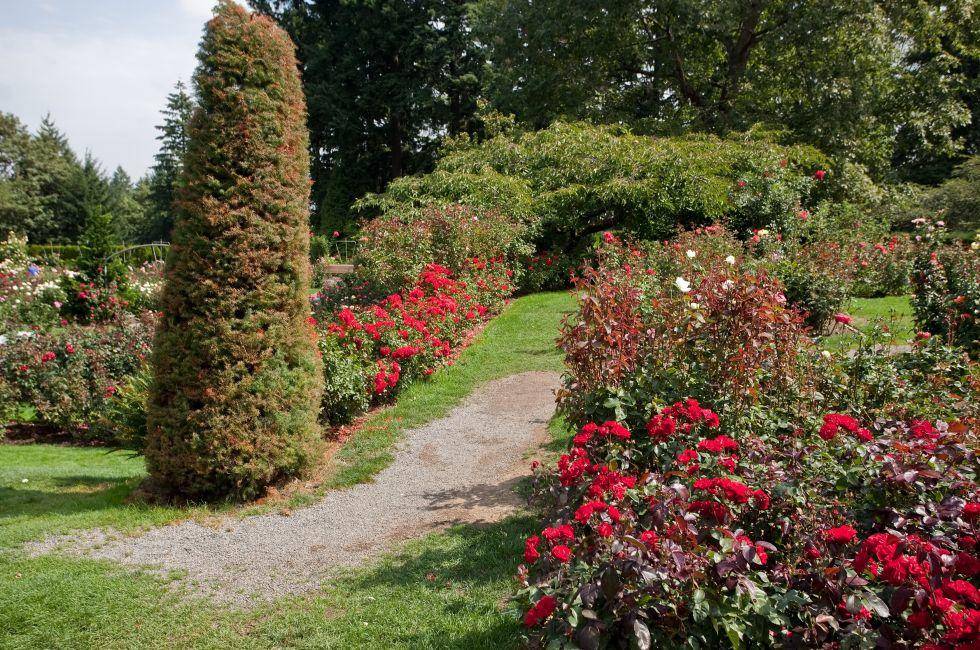 International Rose Test Garden Urban Park