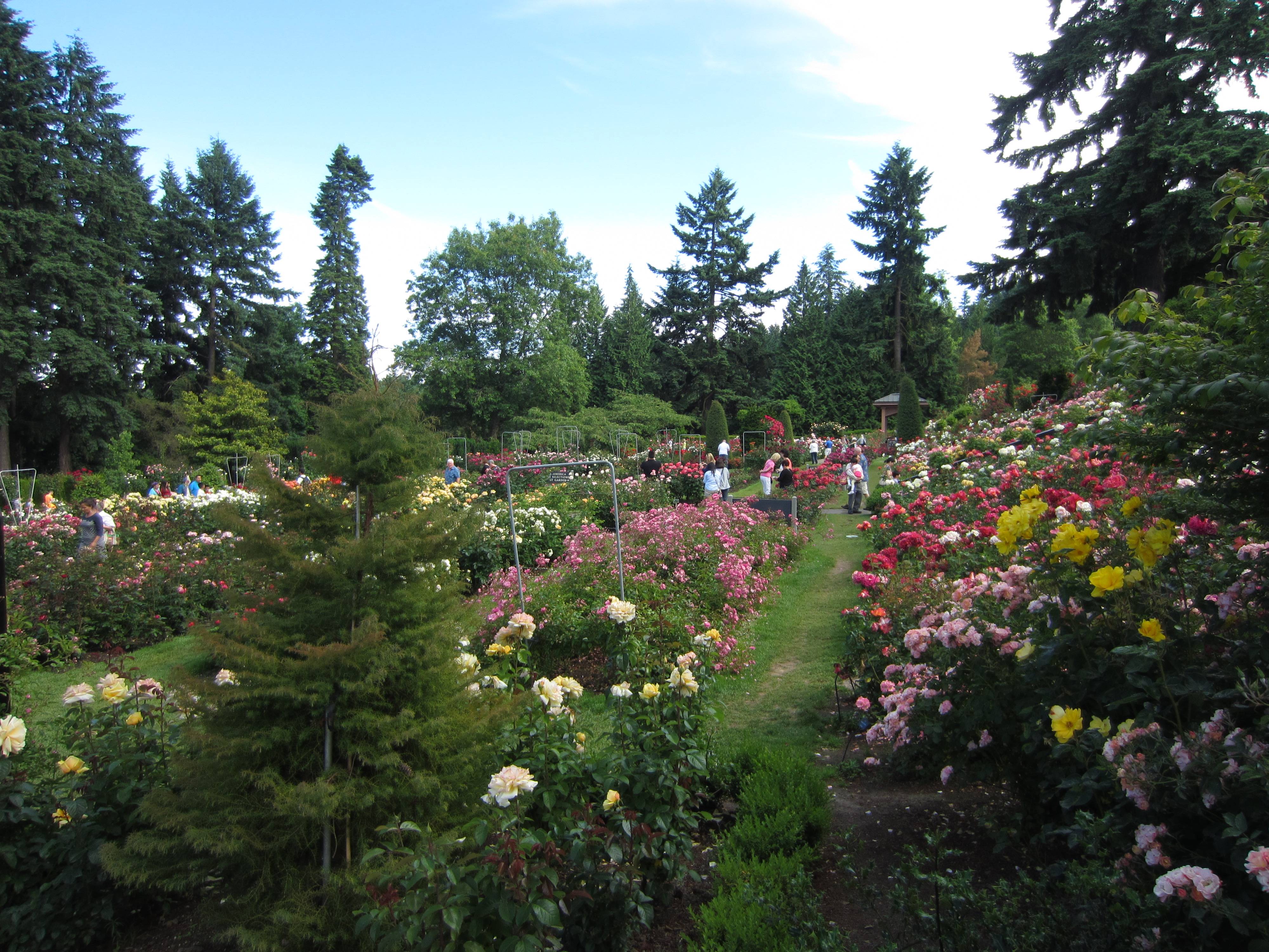 International Rose Test Garden Urban Park