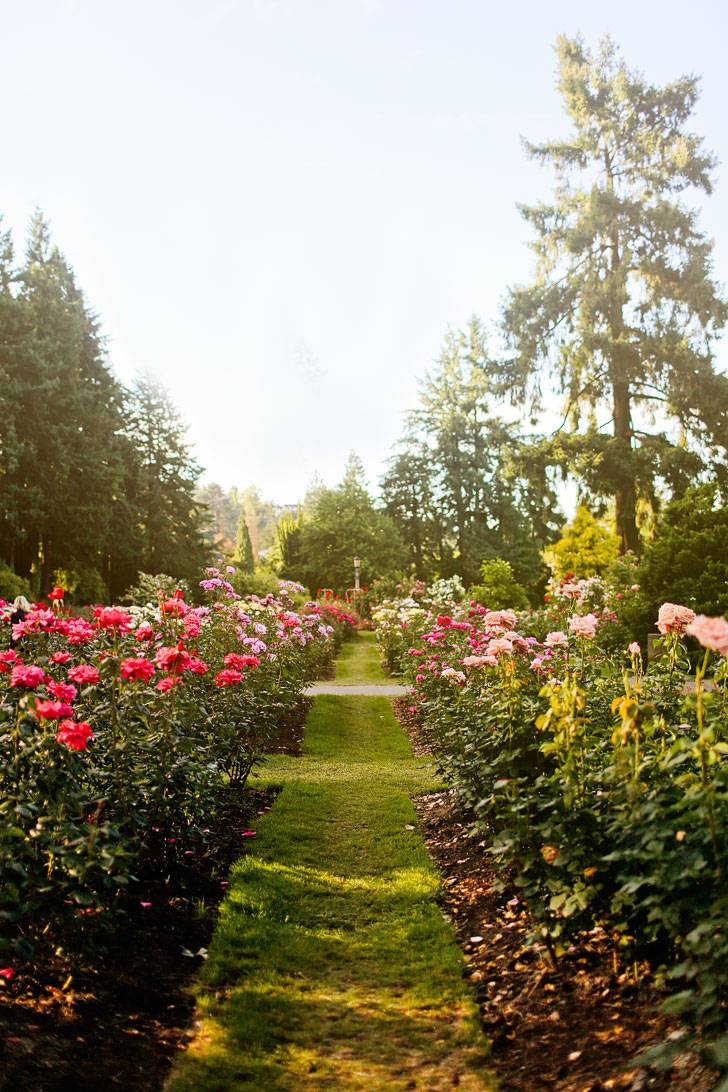 Portland Rose Test Garden March Creative Wedding Ideas