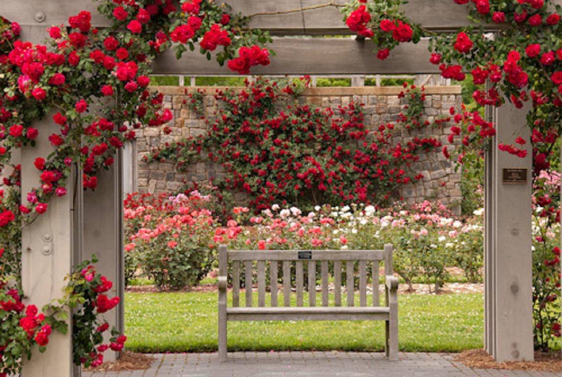 Garden Bench Ideas