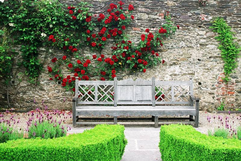 Bench Images