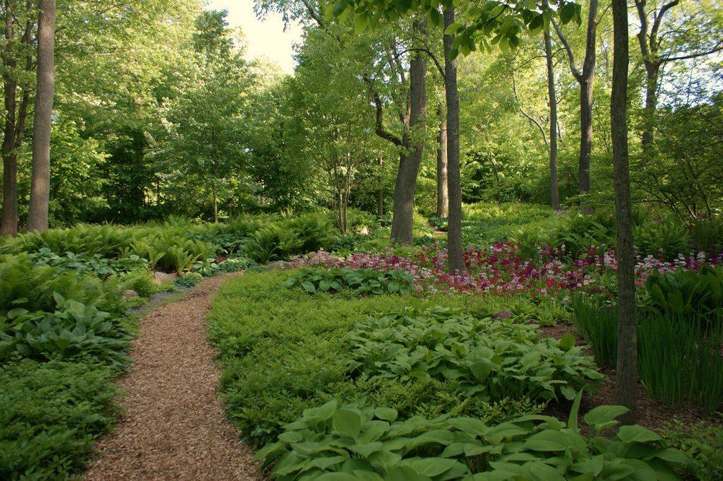 David Austin Rose Gardens