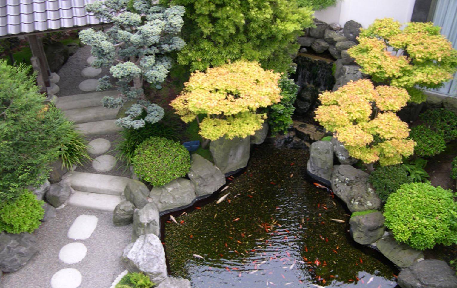 Japanese Garden Stuffconz