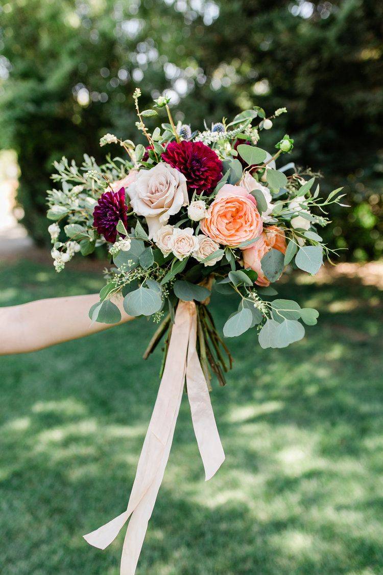 Pink And Peach Garden Rose