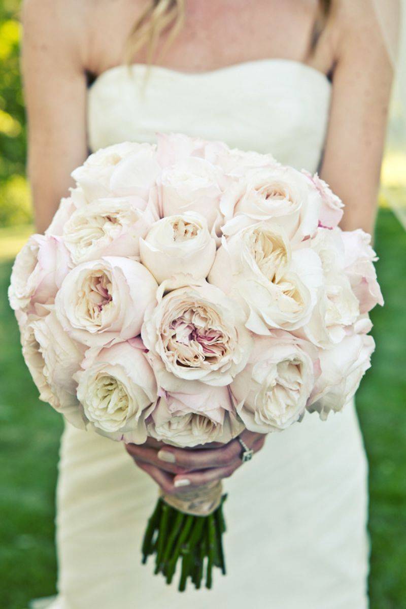 Pink Garden Roses