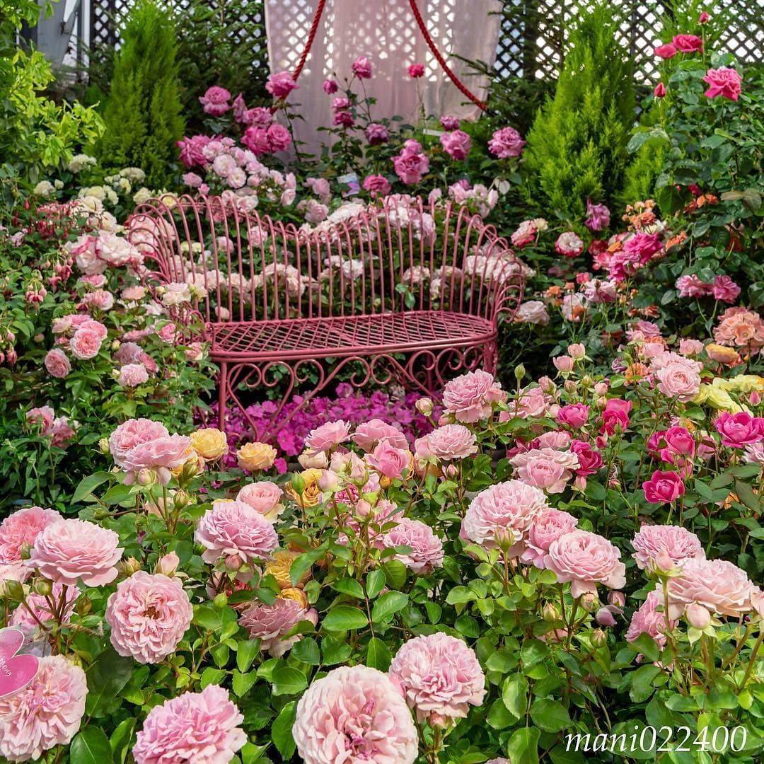 Garden Inspiration