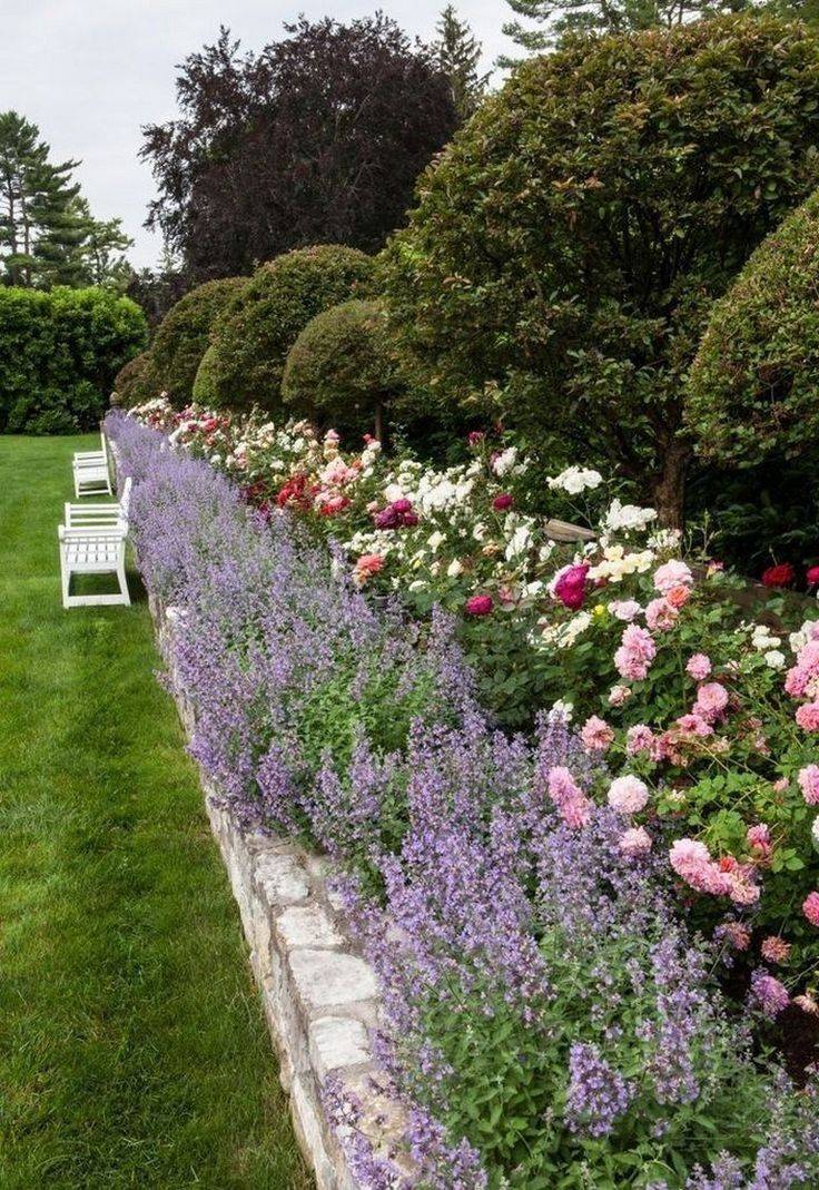 English Cottage Rose Garden Design