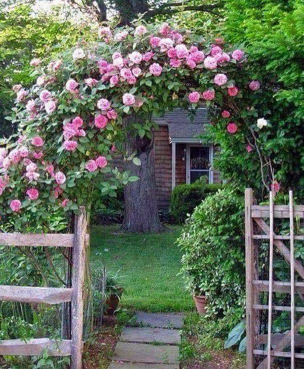 Sacramento Old City Cemetery Rose Garden Ideas