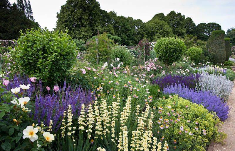 An Old Rose Pilgrimage