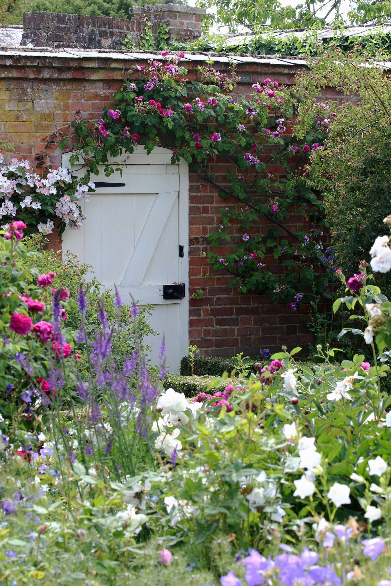The Mottisfont Abbey Garden