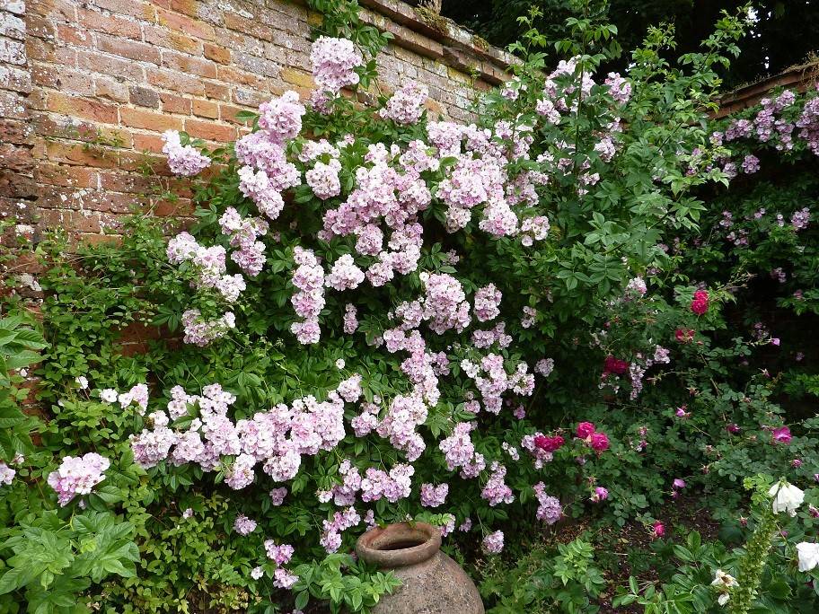 The Most Magnificent Images