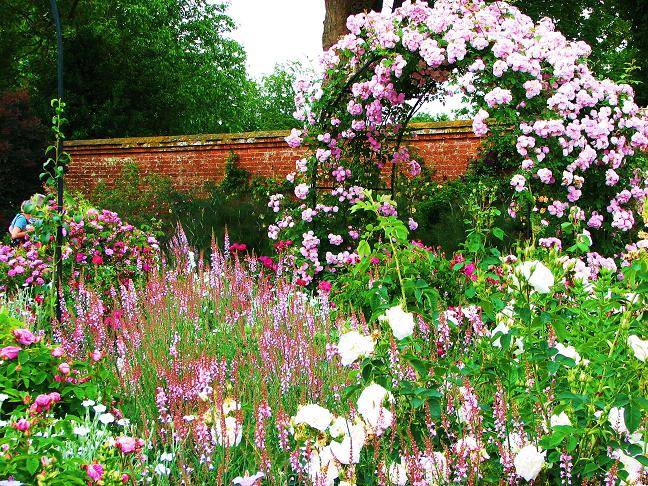 The Most Magnificent Images