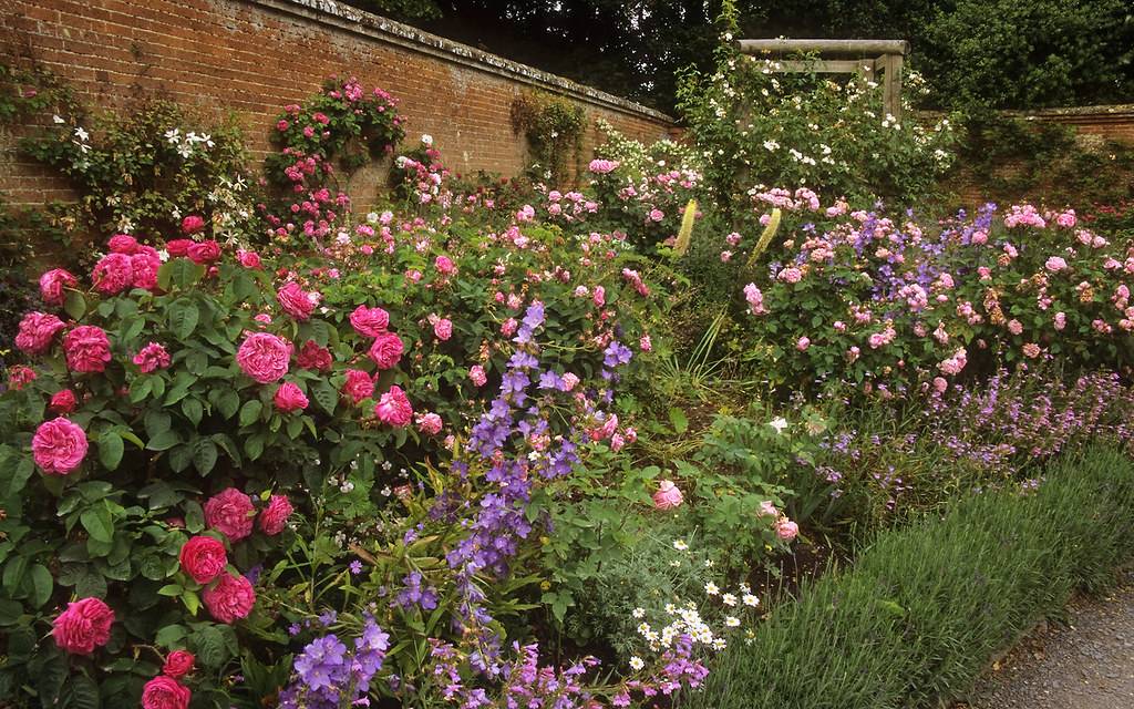 Mottisfont Abbey Gardens Hampshire Beautiful Gardens Cottage
