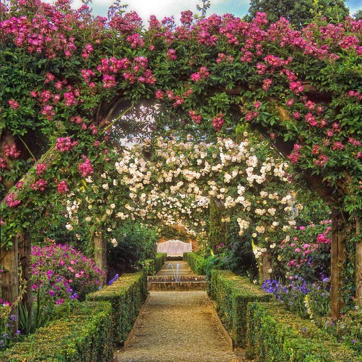 Mottisfont Abbey Rose Garden Creative Wedding Ideas