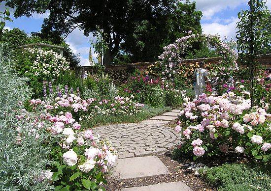 Mottisfont Abbey Rose Gardens Hampshire England Garden Shrubs