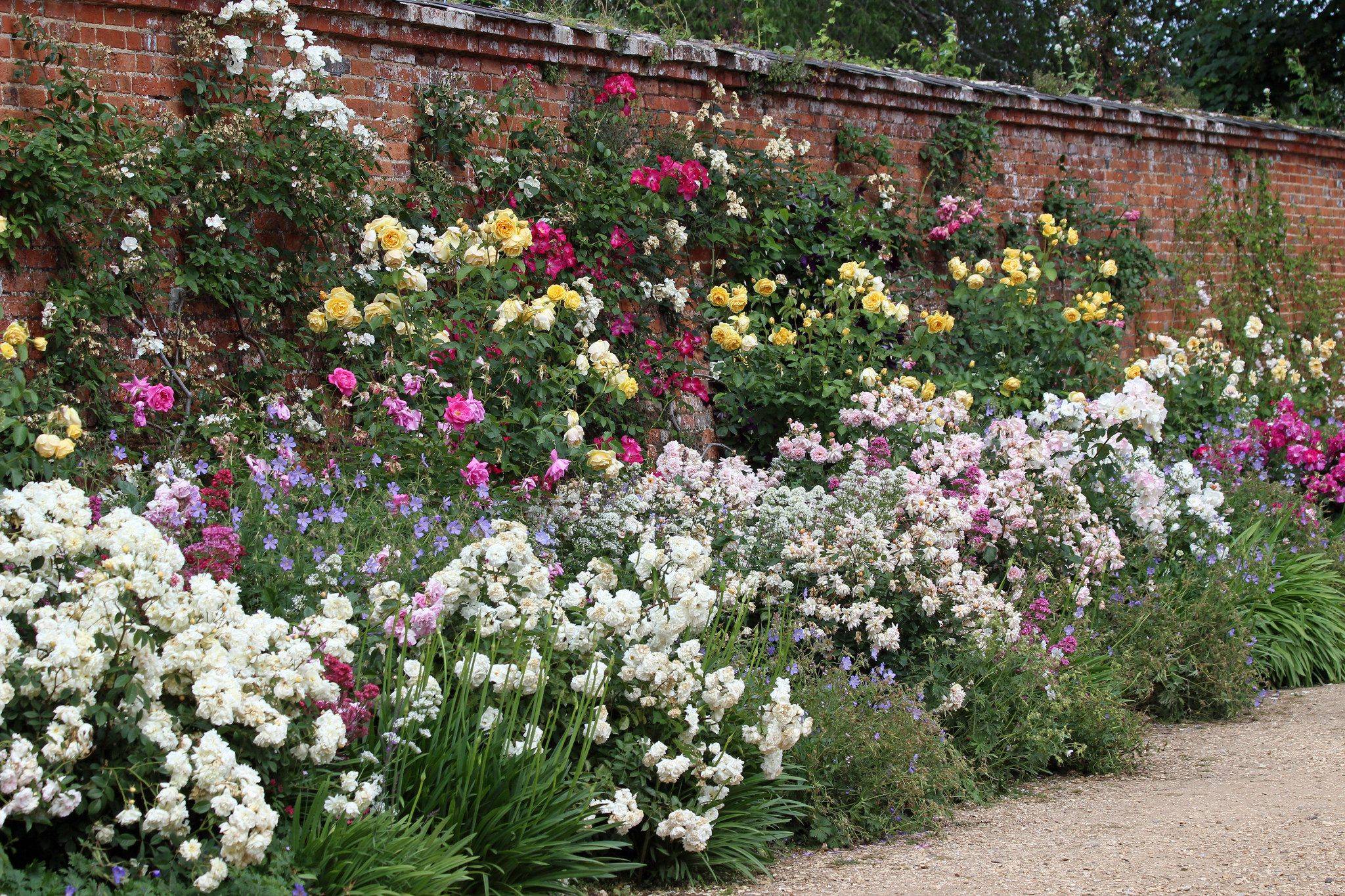 Mottisfont Abbey Rose Gardens