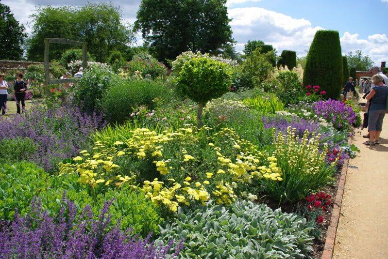 A Rose Lovers Paradise Ii