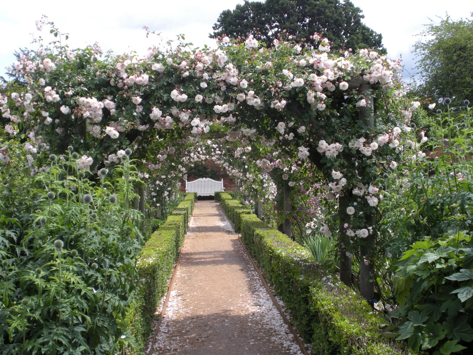Rose Gardens