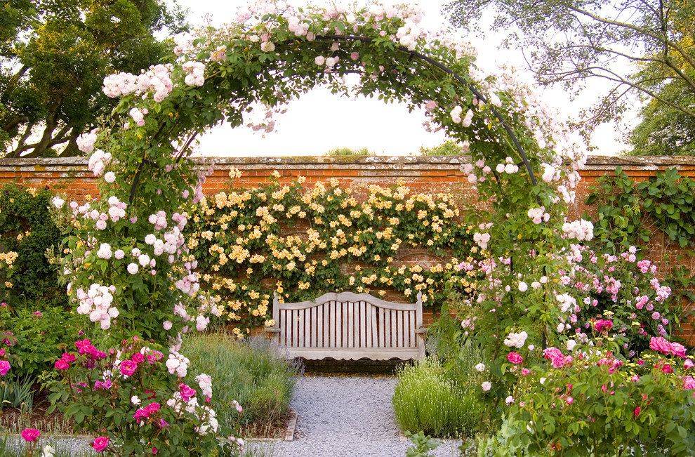 The Rose Gardens At Mottisfont Abbey Gardenpicsandtipscom