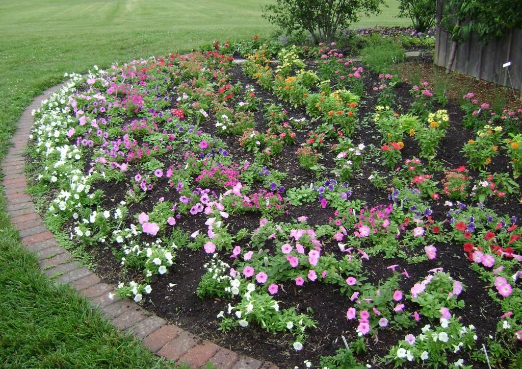 New Flower Garden Ideas