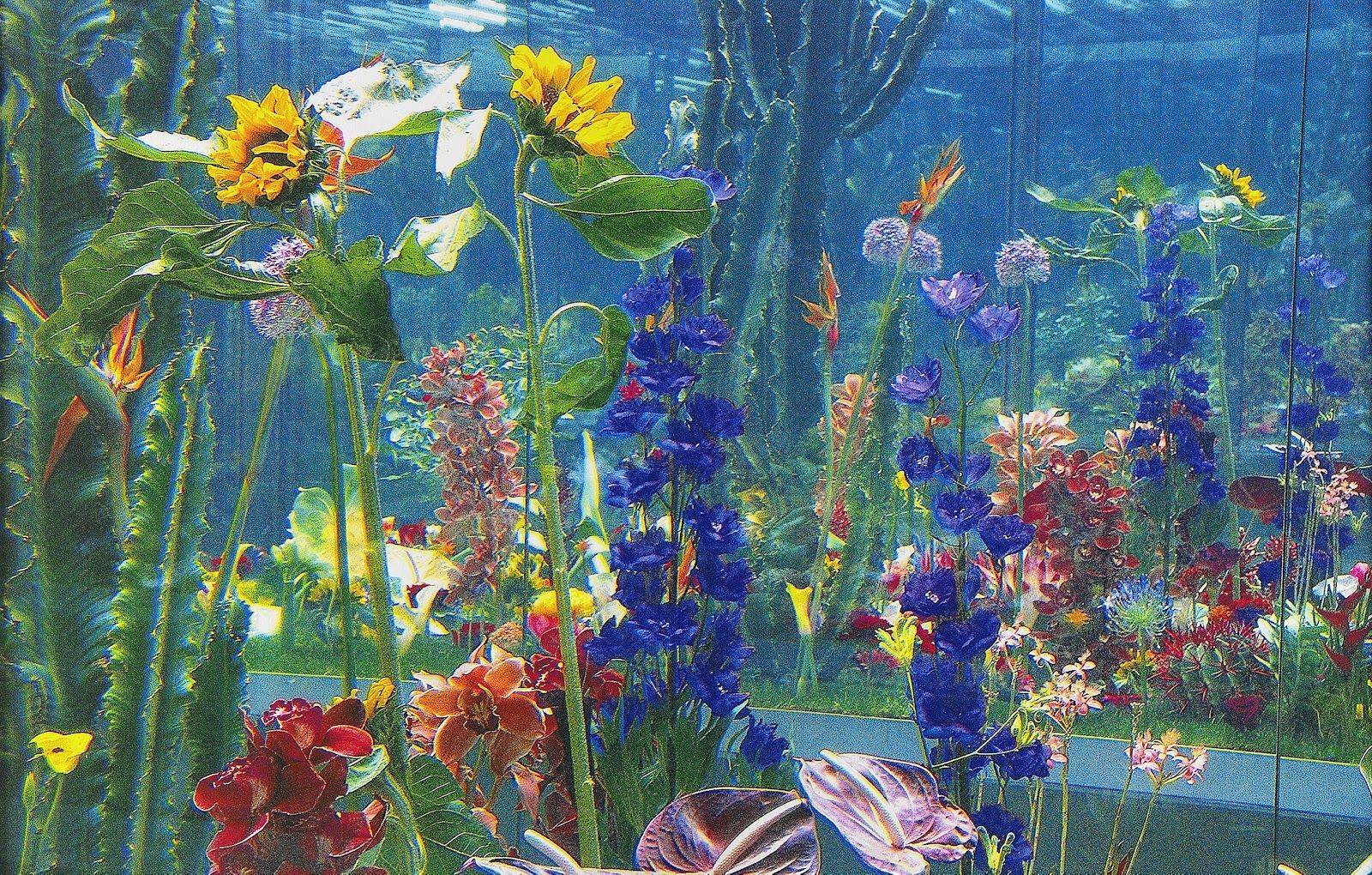 Pylore Garden Marc Quinn Quinns Woogirlsinternational