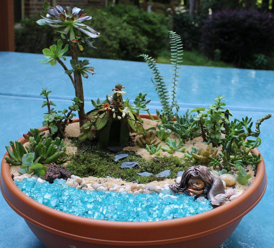 Fairy Garden