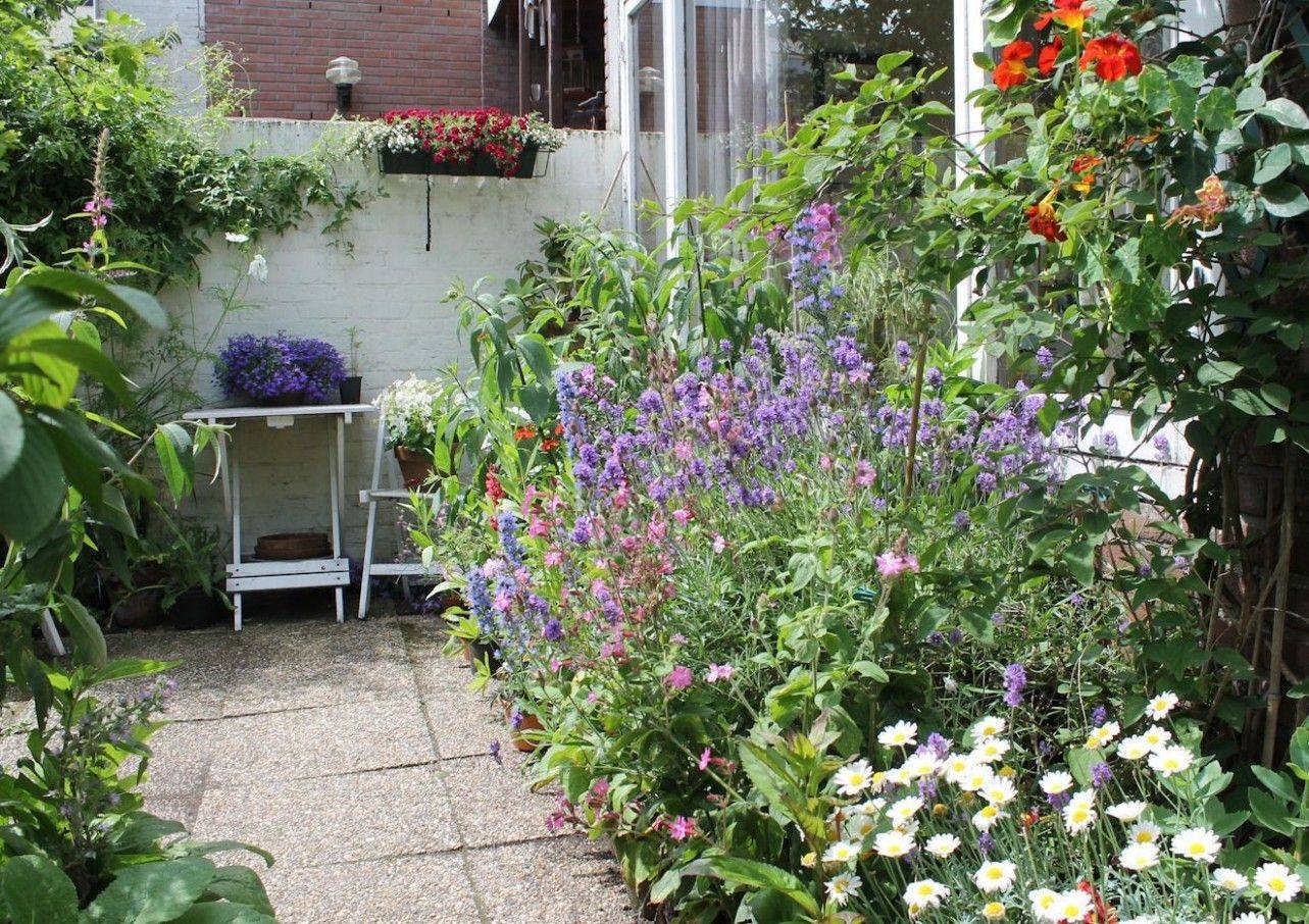 English Garden Ideas